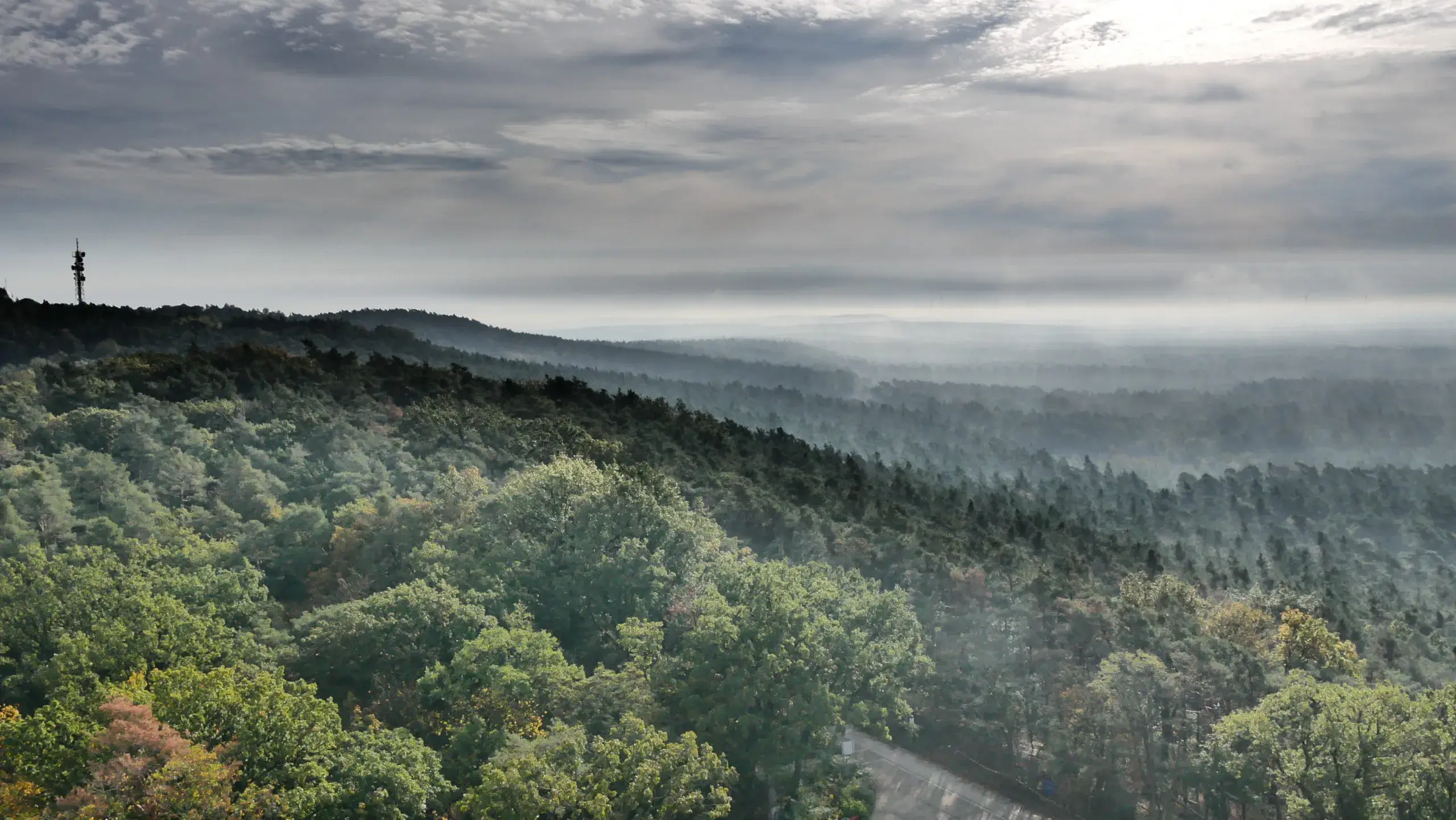 Aufsteigender Nebel über den Müggelbergen in Köpenick