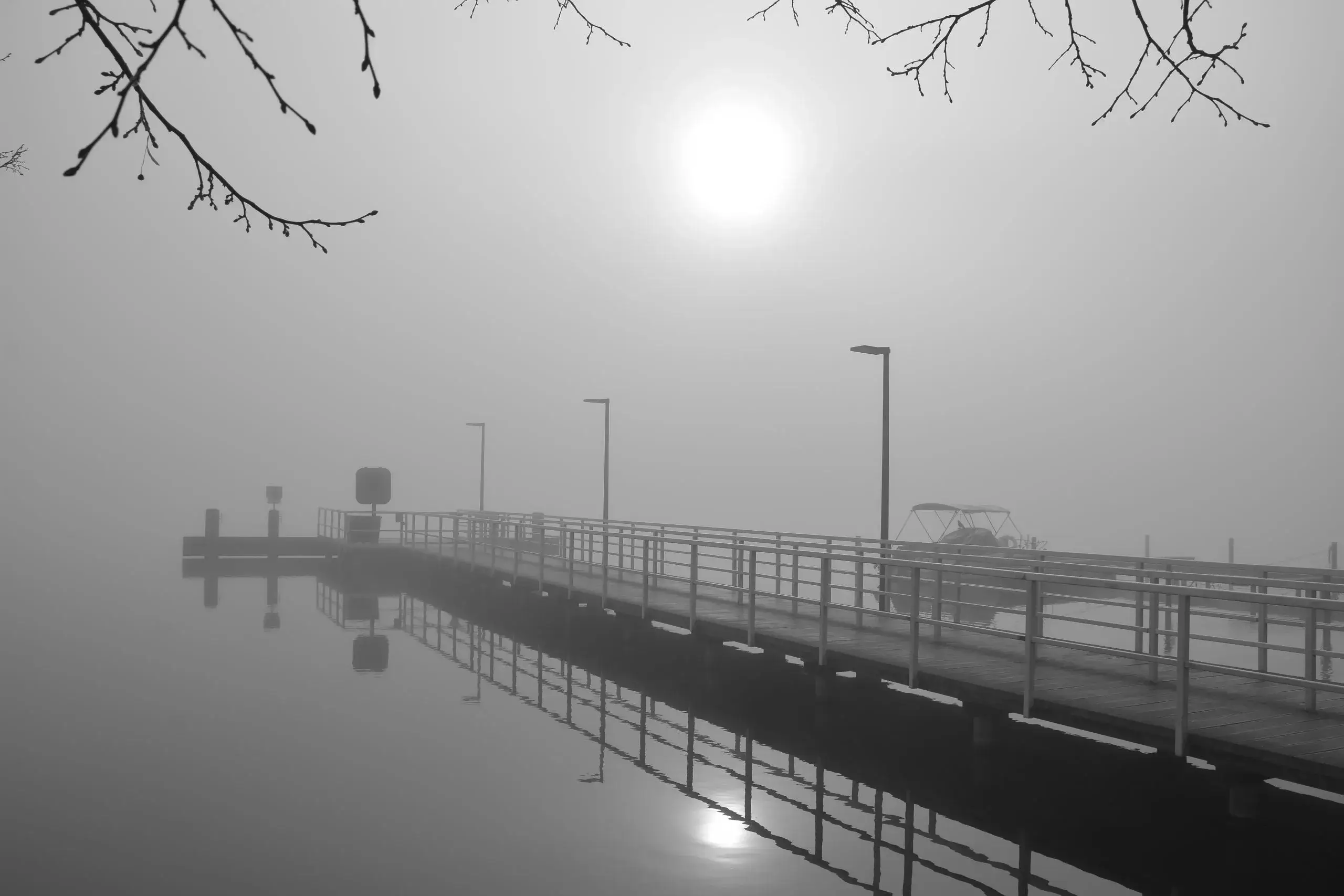 Blick zu einem einsamem Landungssteg im Nebel am Morgen mit der aufgeneden Sonne