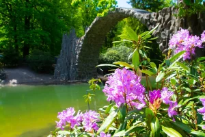Die Rakoztbrücke im Rhododendronpark Kromlau mit Blumen im Vordergrund