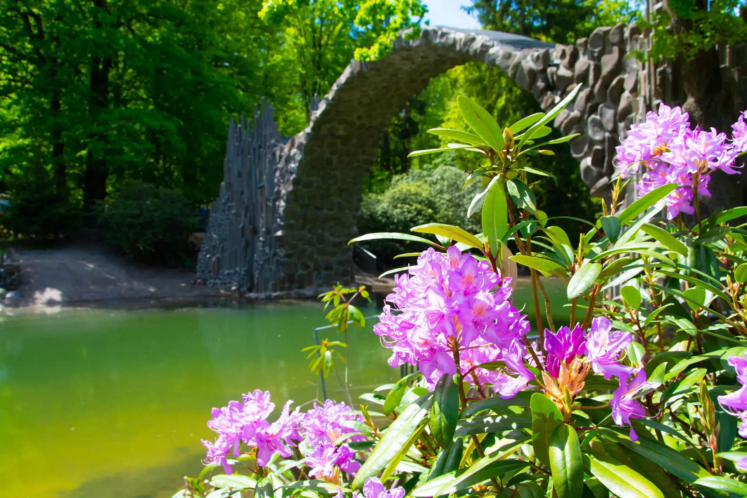Die Rakoztbrücke im Rhododendronpark Kromlau mit Blumen im Vordergrund
