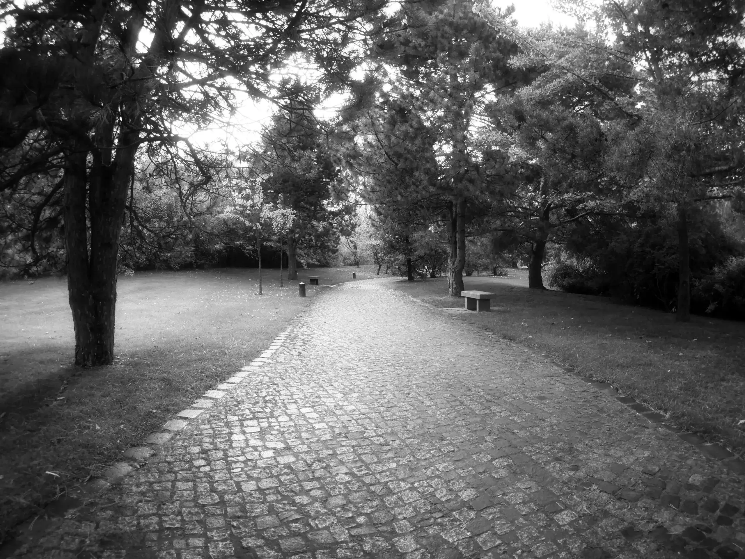 Ein einsamer Weg im Chinagarten in Berlin