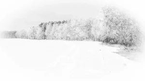 Ein verschneiter Waldrand mit Feld