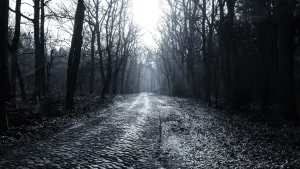 Eine alte Kopfsteinpflasterstrasse nach Kerzendorf im Morgennebel