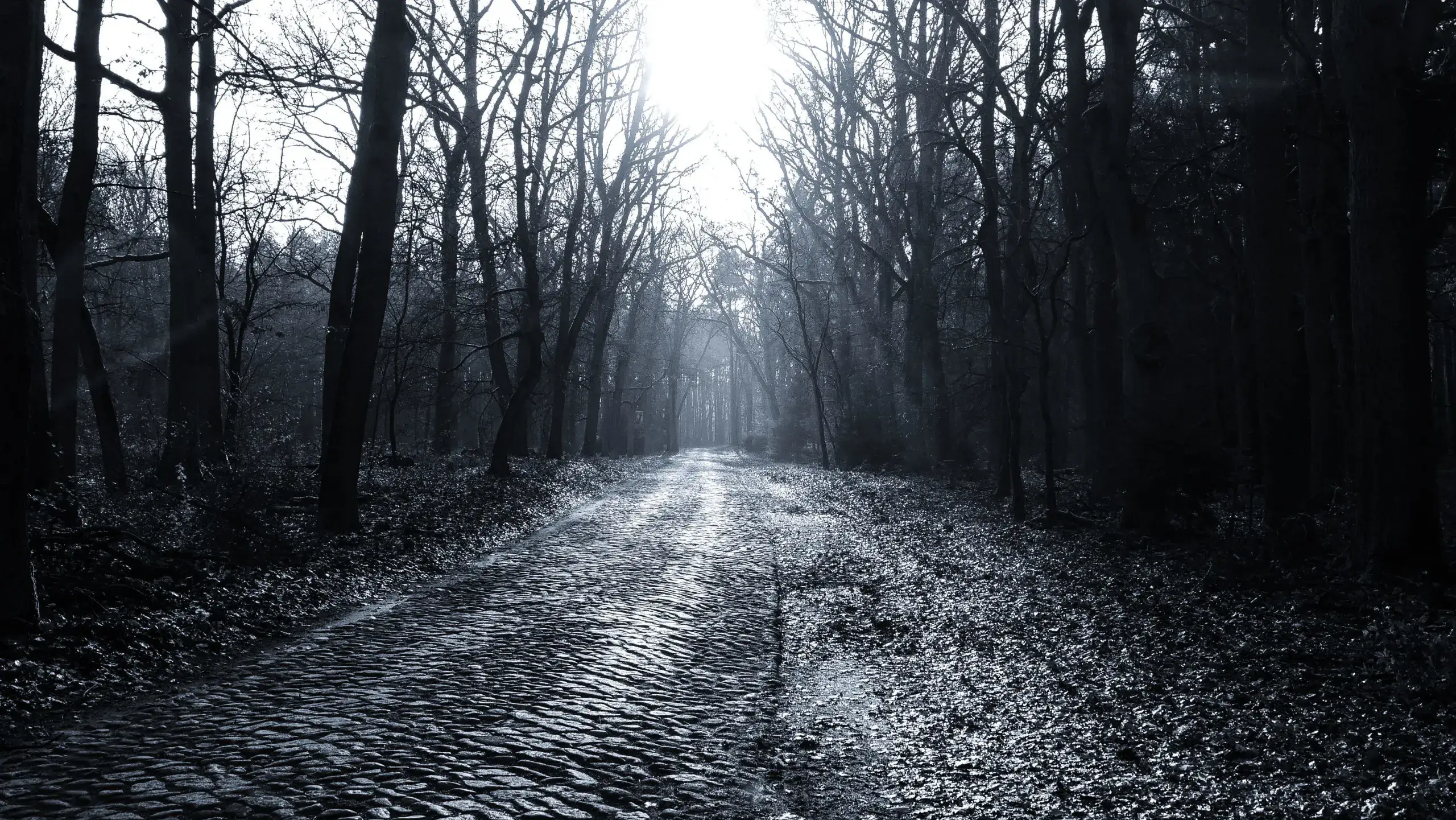 Eine alte Kopfsteinpflasterstrasse nach Kerzendorf im Morgennebel