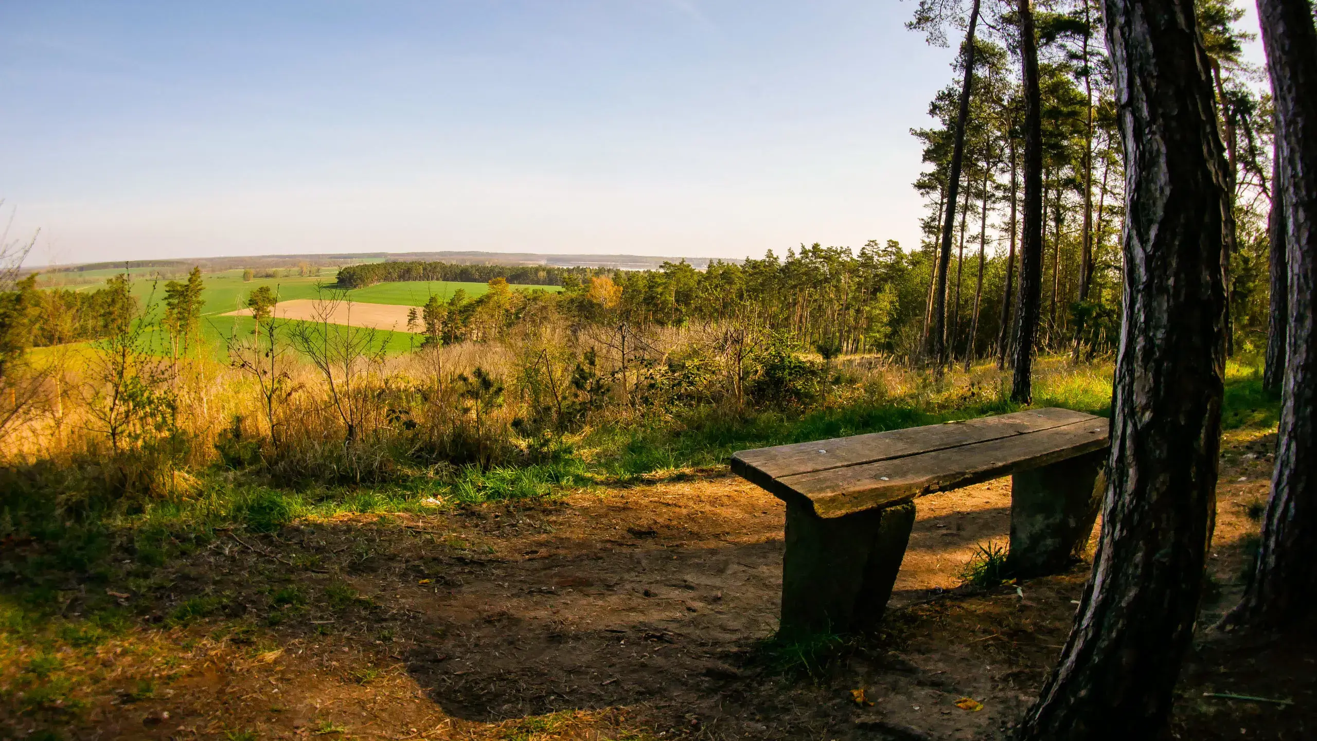 Eine einsame Bank mit Blick von einem Hügel in ein Tal